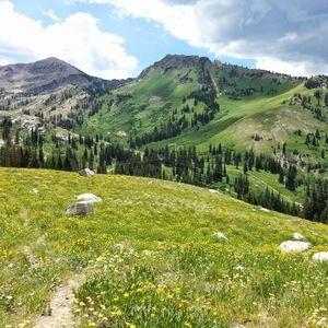 Meet your Posher, Trevor